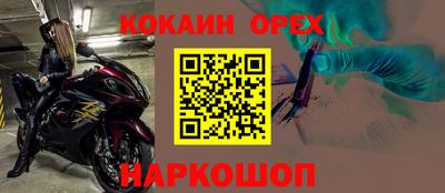 дмт Гусев