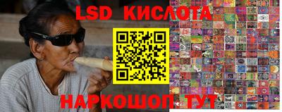 дмт Гусев