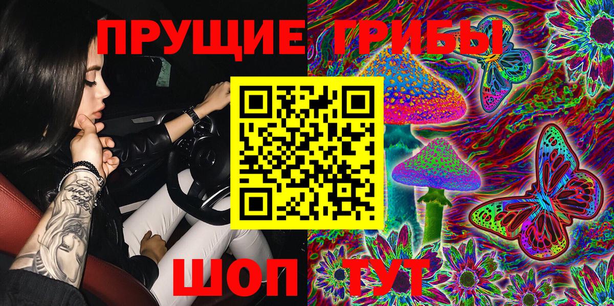 Псилоцибиновые грибы прущие грибы  Псилоцибиновые грибы GOLDEN TEACHER  Вход с VPN  Кумертау 